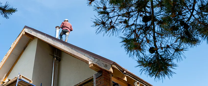 Birds Removal Contractors from Chimney in Hermitage, PA